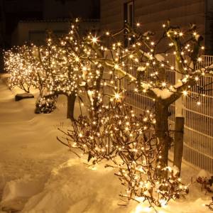 MK 019-310 LED Profi Lichterkette 230 V - 20 M schwarzes  Kabel - 120 LED - Warmweiss LED - Koppelbares System IP 67