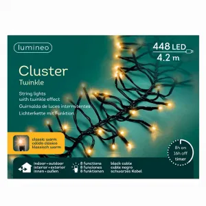 Lumimeo 494719 LED Cluster Twinkle Lichterkette 3 Meter 448 warmweisse LED schwarzes Kabel Aussenlicht Timer und Controller