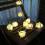LED Batterie Lichterkette Rosen Blüten Cremeweiss 10 warmweisse LED