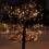 MK 019-310 LED Profi Lichterkette 230 V - 20 M schwarzes  Kabel - 120 LED - Warmweiss LED - Koppelbares System IP 67