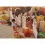 PLAYMOBIL 71393 Country - Take Along Horse Center