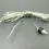 Stecker mit Kabel Klar für Steckernetzteil PT-IP-24005