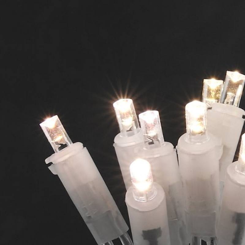 Led Lichterkette 10er 2025 Gabie Jocelyn