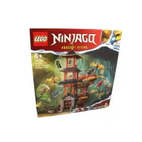 LEGO 71795 Ninjago Tempel der Dr...